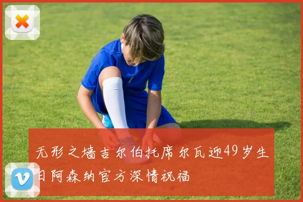 无形之墙吉尔伯托席尔瓦迎49岁生日阿森纳官方深情祝福