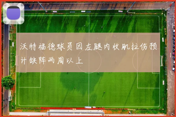 沃特福德球员因左腿内收肌拉伤预计缺阵两周以上